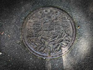 Канализационный люк - что это такое и как выбрать подходящий Канализация и канализационное оборудование Магазин инженерной сантехники Олимп